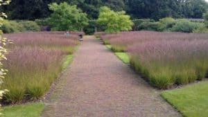 Walled garden at scampston